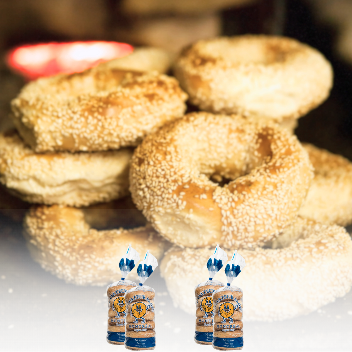 Shop bagels - Box of 2 dozen bagels