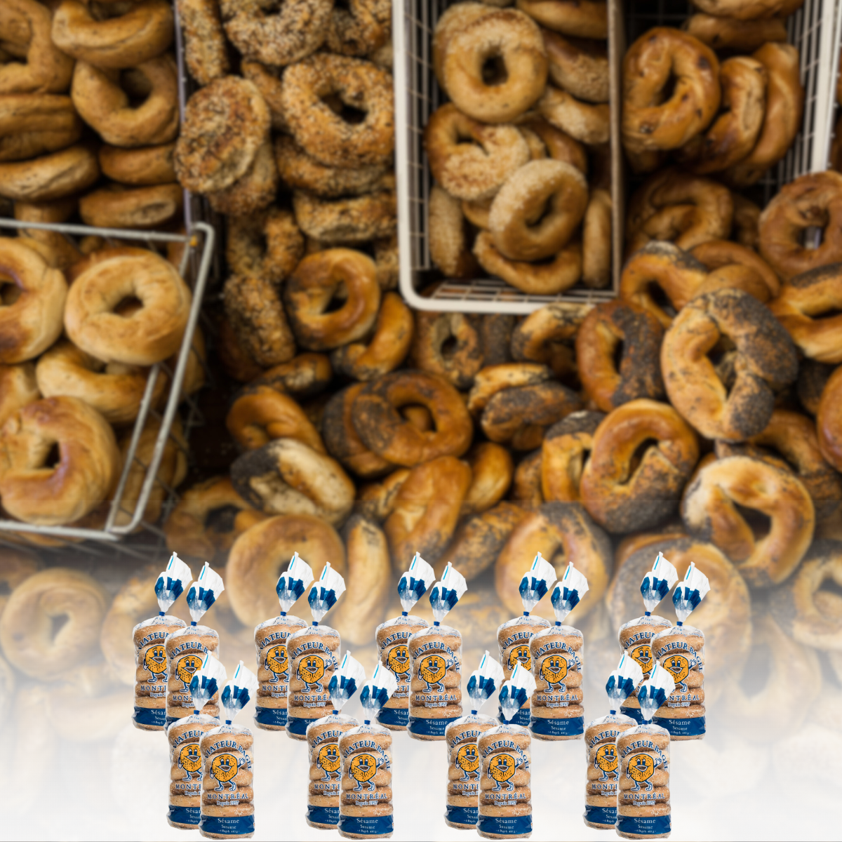 Shop bagels - Box of 9 dozen bagels