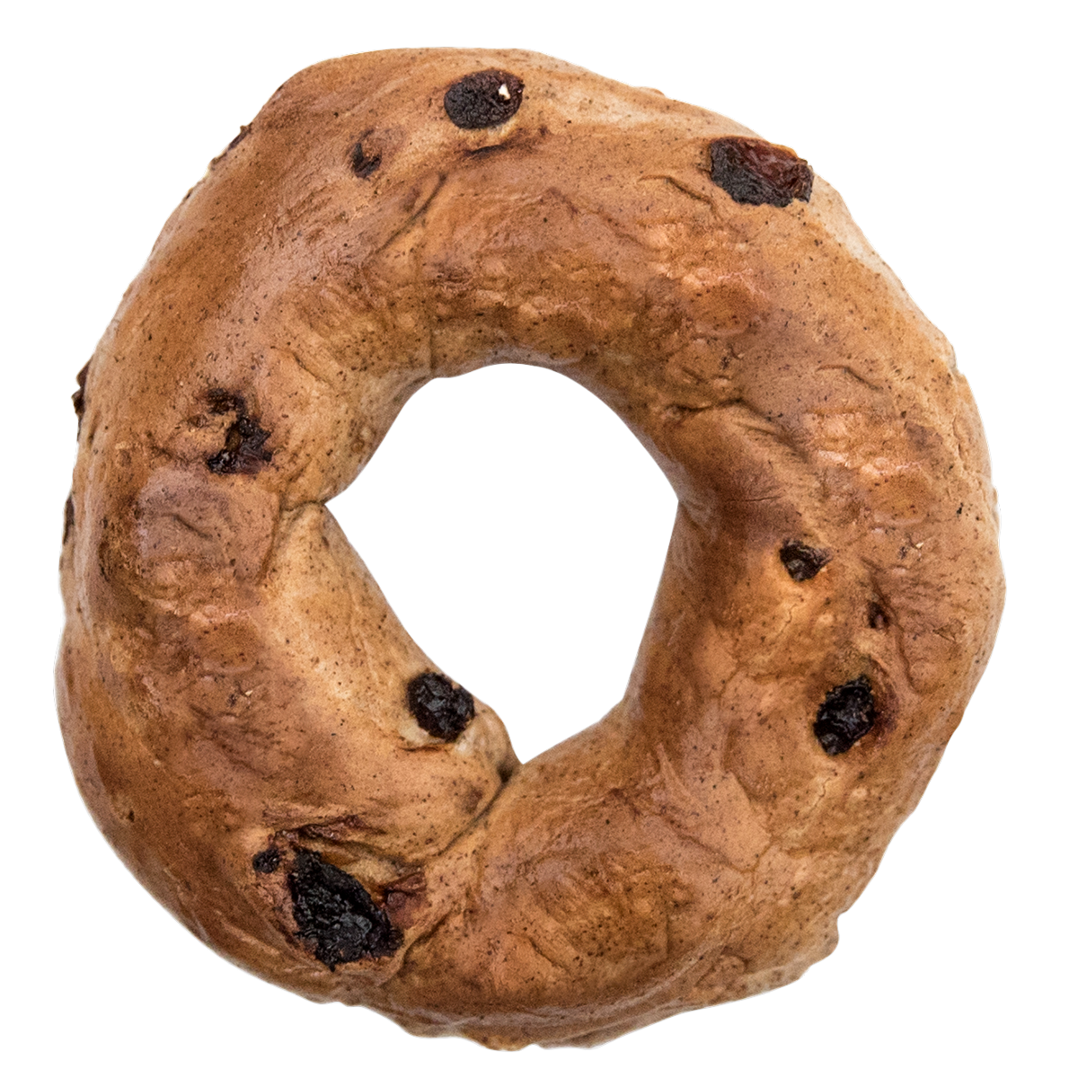 Freshly baked cinnamon raisin bagel from St-Viateur bagel shop in Montreal.