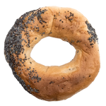 Freshly baked poppy seed bagel from St-Viateur bagel shop in Montreal.