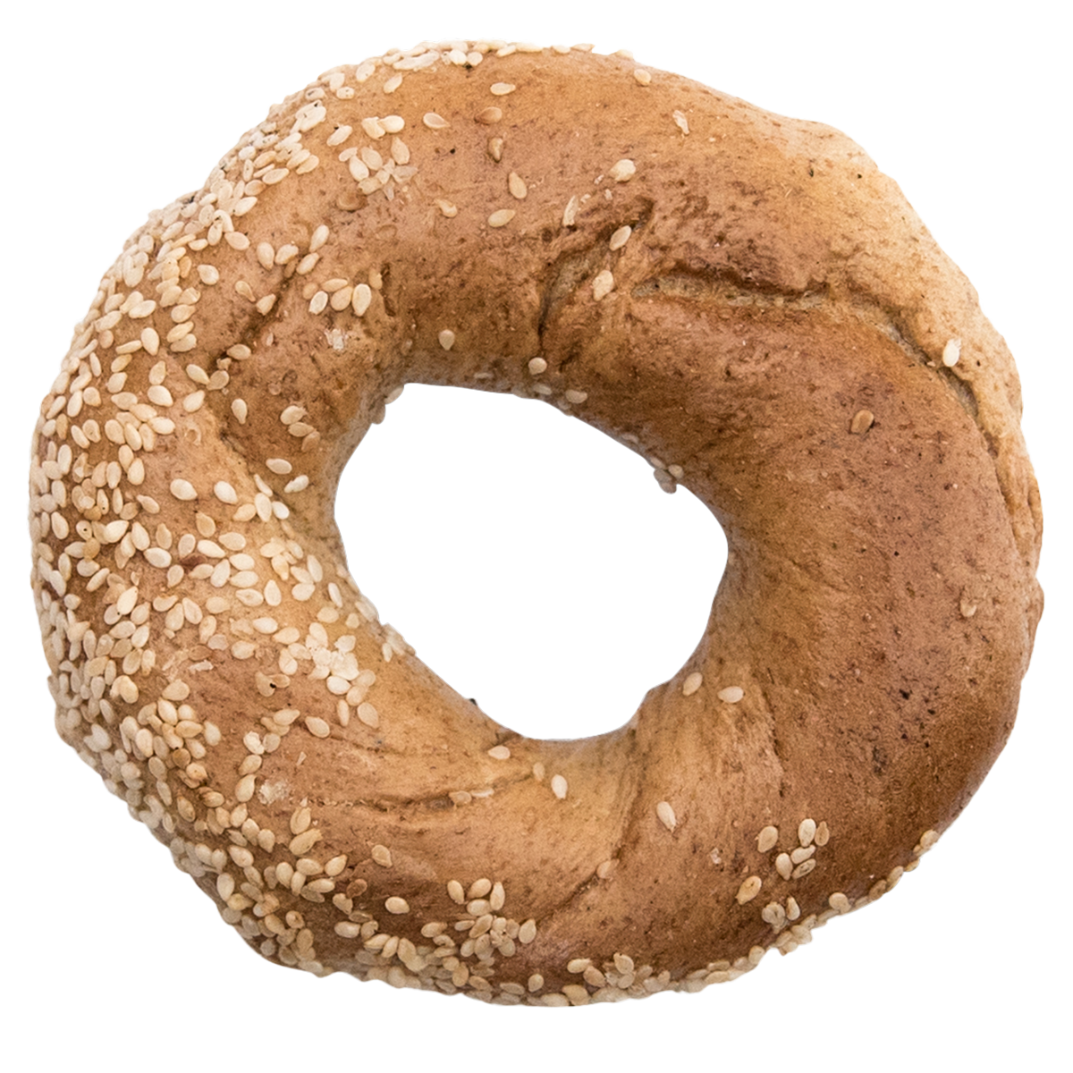 Freshly baked whole wheat bagel from St-Viateur bagel shop in Montreal.